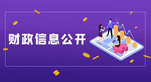 主 題：財政信息公開